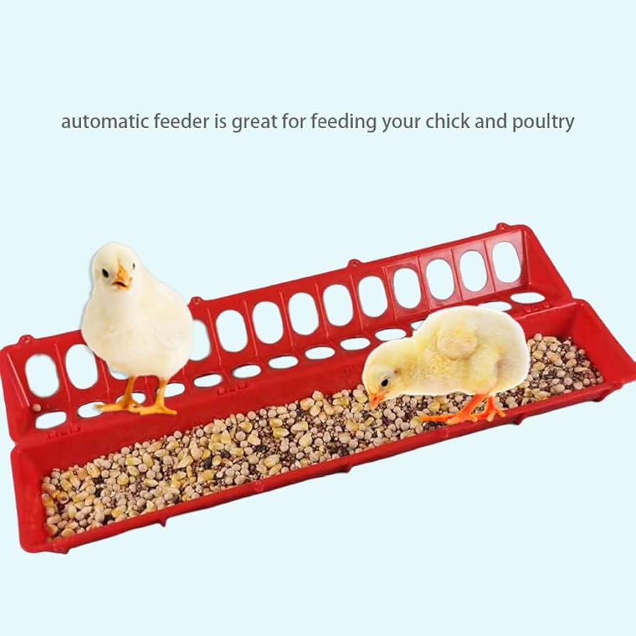 BUMP OF CHICKEN デモテープ Trans Life Amazon.com: Chicken Feeder Large Poultry Feeders Poly Flip